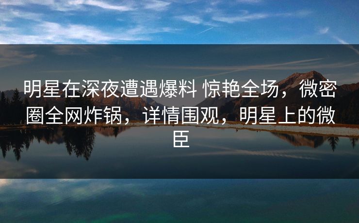 明星在深夜遭遇爆料 惊艳全场,微密圈全网炸锅,详情围观,明星上的微臣