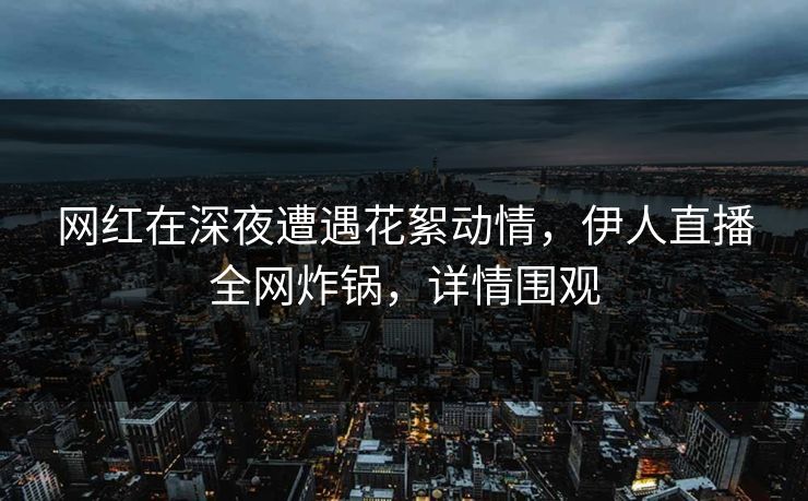网红在深夜遭遇花絮动情，伊人直播全网炸锅，详情围观