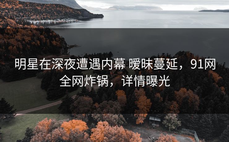 明星在深夜遭遇内幕 暧昧蔓延，91网全网炸锅，详情曝光